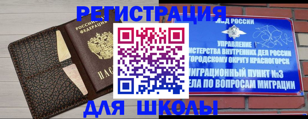 прописка в Щёлково